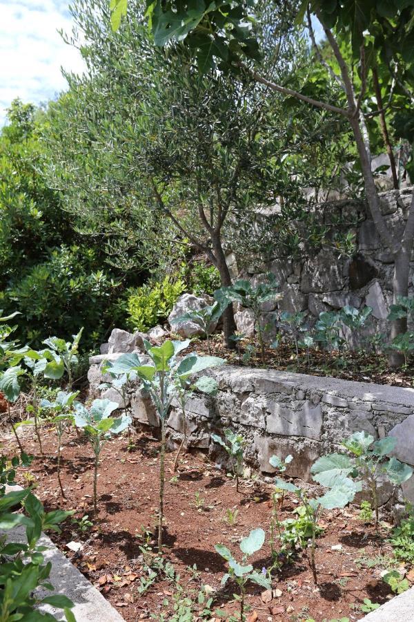 Apartments By The Sea Kabli, Peljesac - 10221 Brijesta Eksteriør billede